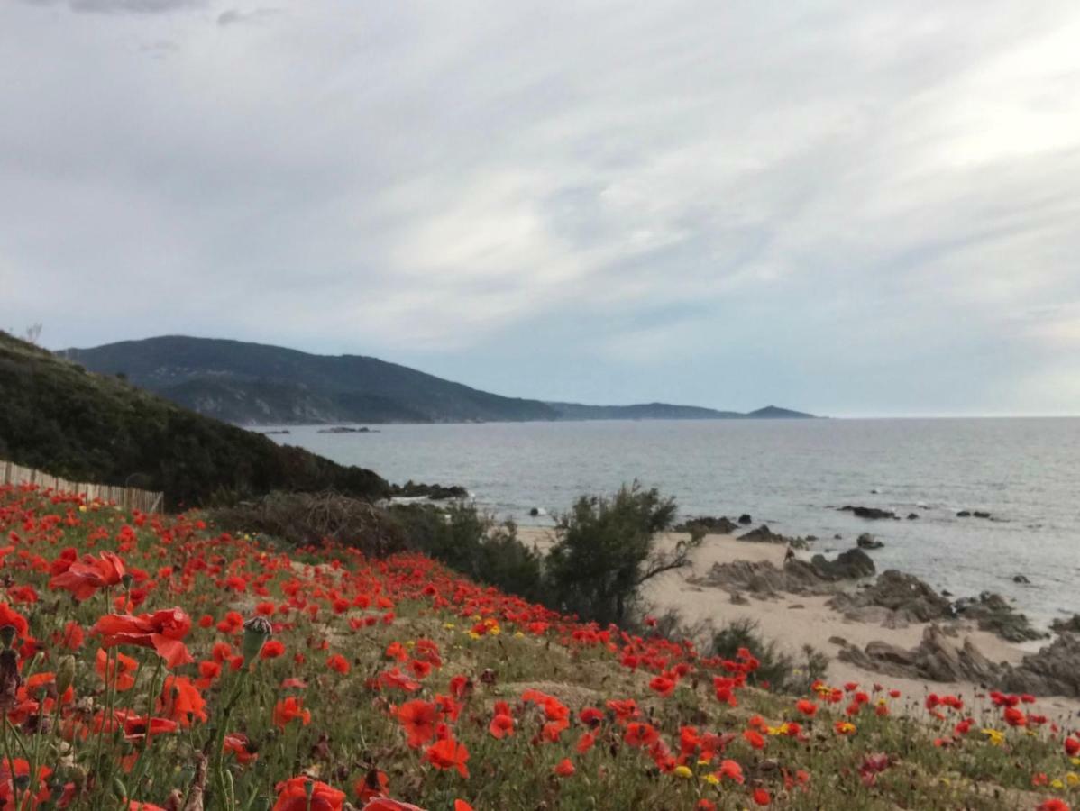 Grand appartement style loft bord de mer Propriano  Eksteriør bilde